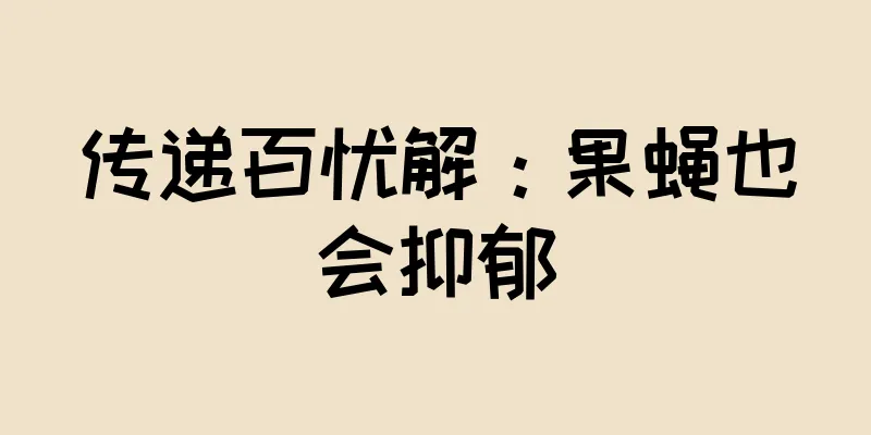 传递百忧解：果蝇也会抑郁