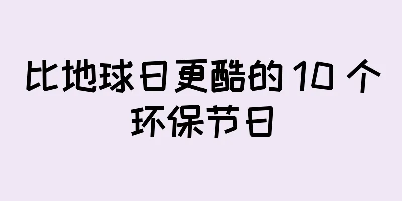 比地球日更酷的 10 个环保节日