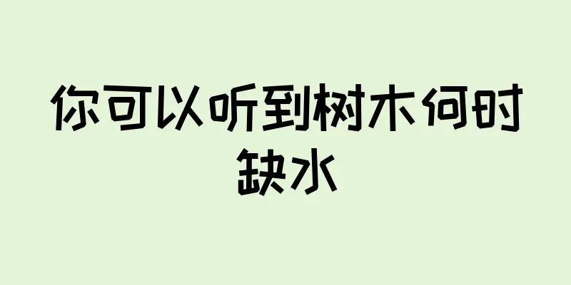 你可以听到树木何时缺水