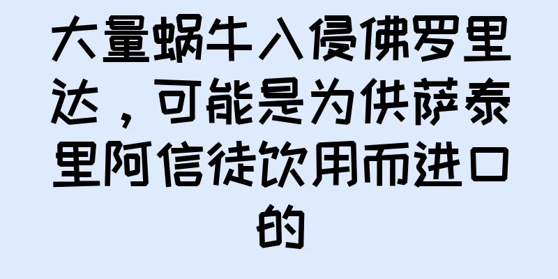 大量蜗牛入侵佛罗里达，可能是为供萨泰里阿信徒饮用而进口的