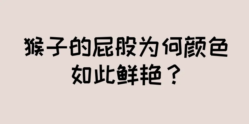 猴子的屁股为何颜色如此鲜艳？