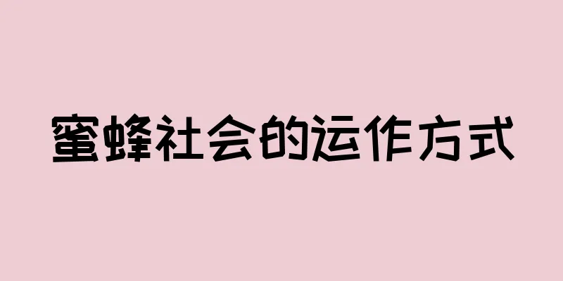 蜜蜂社会的运作方式