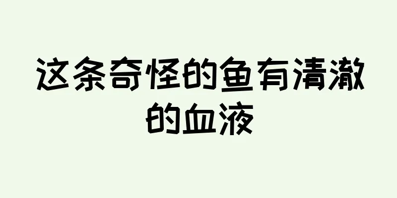 这条奇怪的鱼有清澈的血液