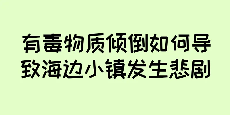 有毒物质倾倒如何导致海边小镇发生悲剧