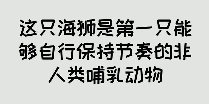 这只海狮是第一只能够自行保持节奏的非人类哺乳动物