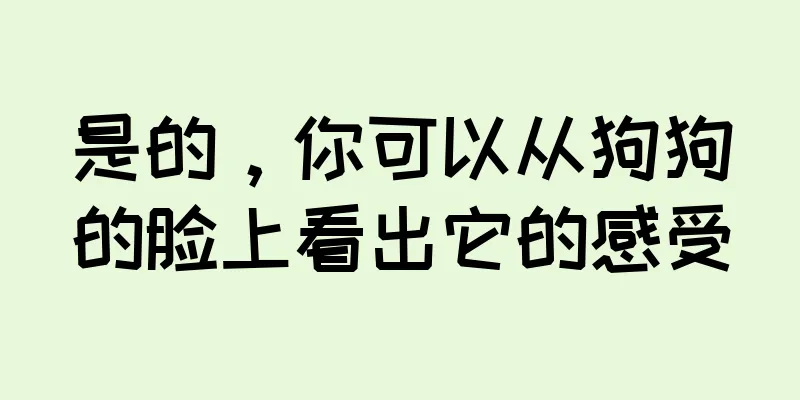 是的，你可以从狗狗的脸上看出它的感受