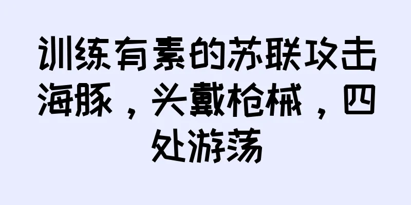 训练有素的苏联攻击海豚，头戴枪械，四处游荡