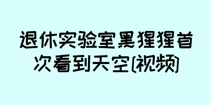 退休实验室黑猩猩首次看到天空[视频]