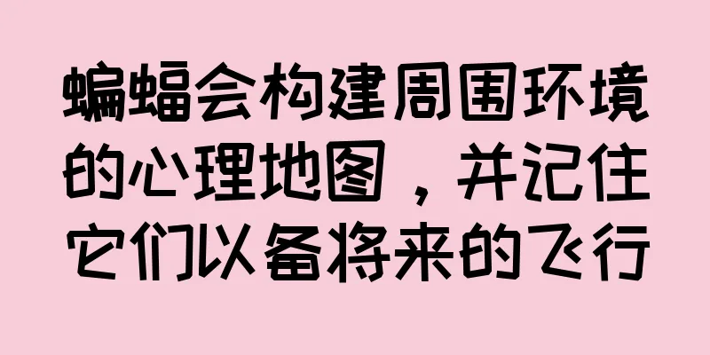 蝙蝠会构建周围环境的心理地图，并记住它们以备将来的飞行