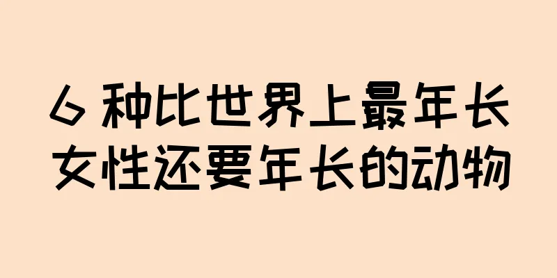6 种比世界上最年长女性还要年长的动物