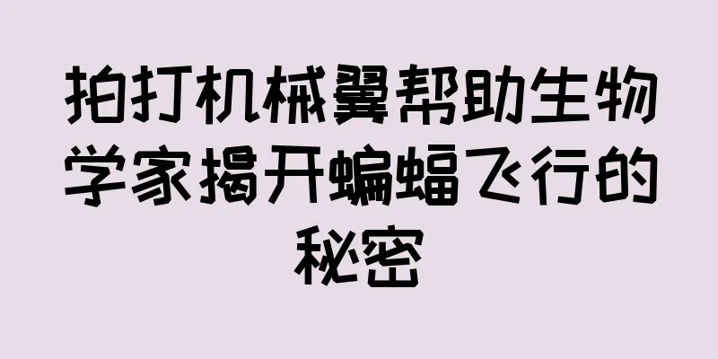 拍打机械翼帮助生物学家揭开蝙蝠飞行的秘密