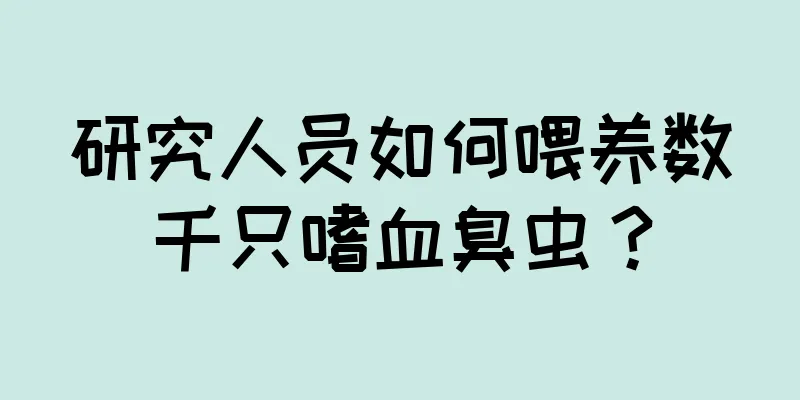 研究人员如何喂养数千只嗜血臭虫？