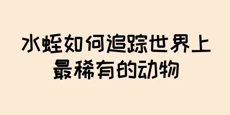 水蛭如何追踪世界上最稀有的动物