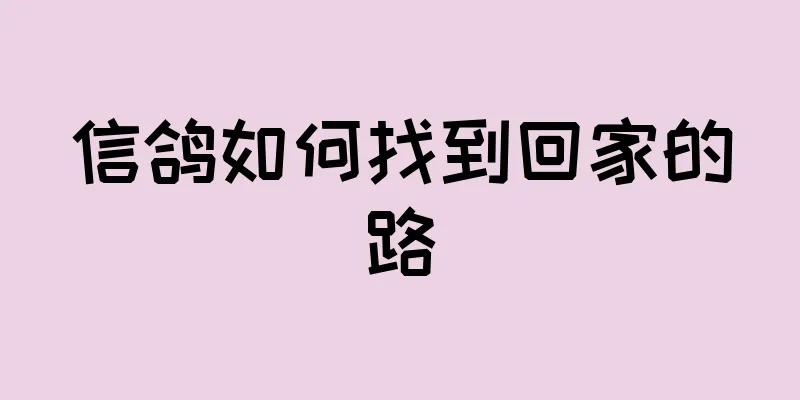 信鸽如何找到回家的路