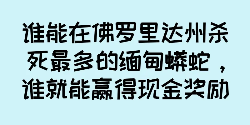 谁能在佛罗里达州杀死最多的缅甸蟒蛇，谁就能赢得现金奖励