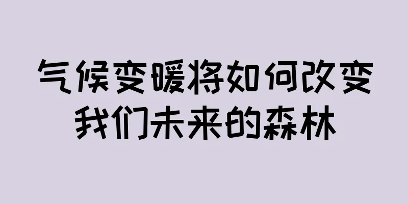 气候变暖将如何改变我们未来的森林