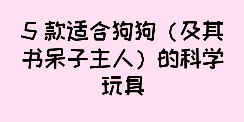 5 款适合狗狗（及其书呆子主人）的科学玩具