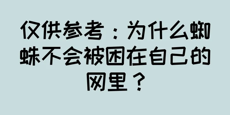 仅供参考：为什么蜘蛛不会被困在自己的网里？