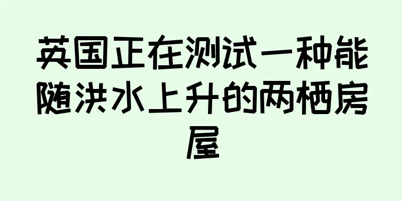 英国正在测试一种能随洪水上升的两栖房屋