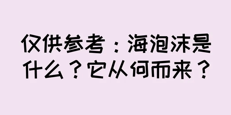 仅供参考：海泡沫是什么？它从何而来？