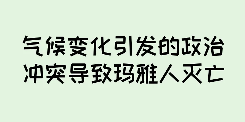 气候变化引发的政治冲突导致玛雅人灭亡