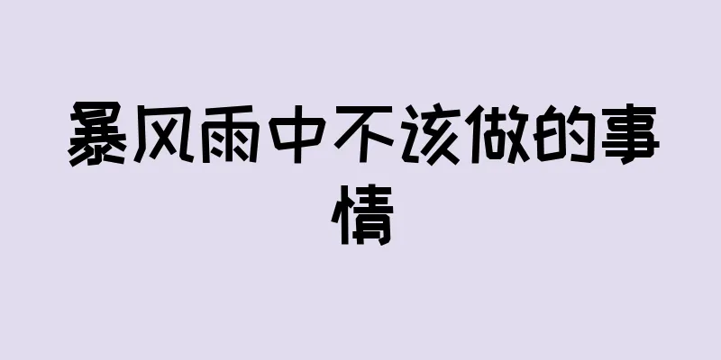 暴风雨中不该做的事情