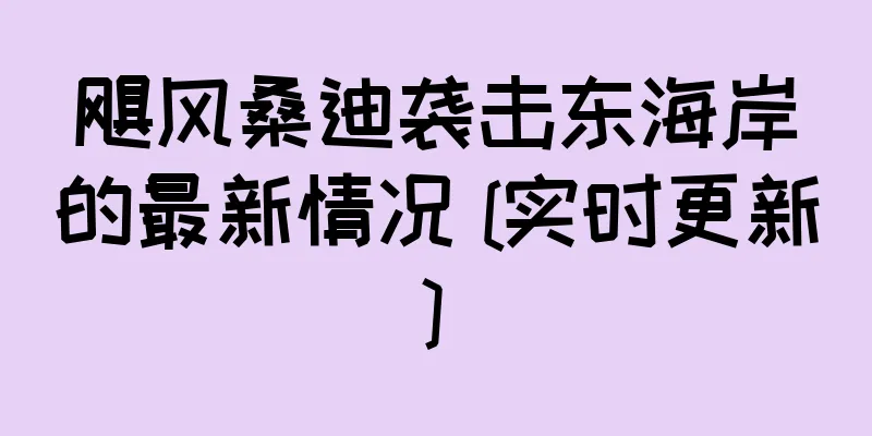 飓风桑迪袭击东海岸的最新情况 [实时更新]