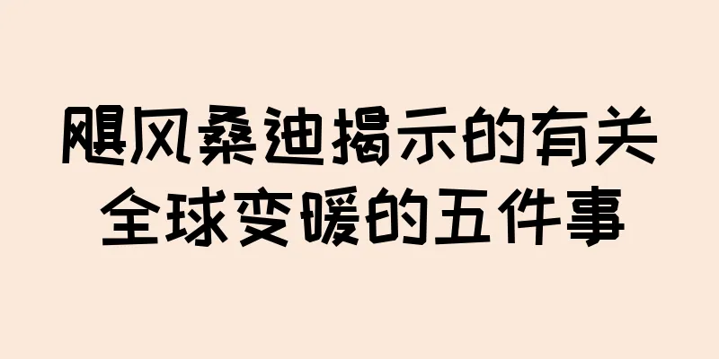 飓风桑迪揭示的有关全球变暖的五件事