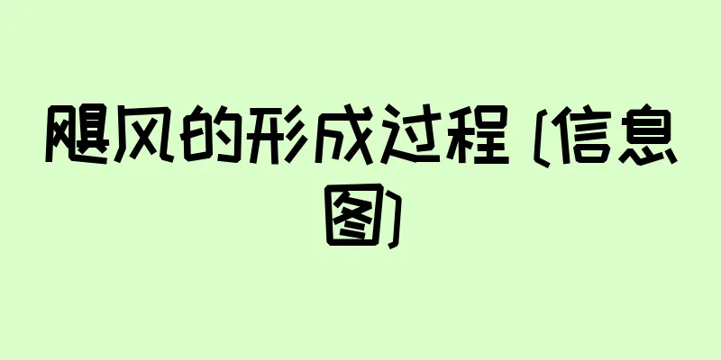 飓风的形成过程 [信息图]