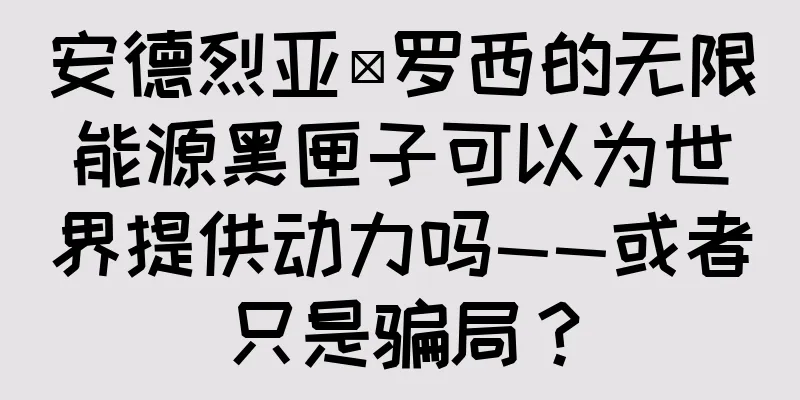 安德烈亚·罗西的无限能源黑匣子可以为世界提供动力吗——或者只是骗局？