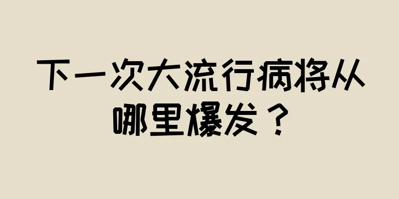 下一次大流行病将从哪里爆发？