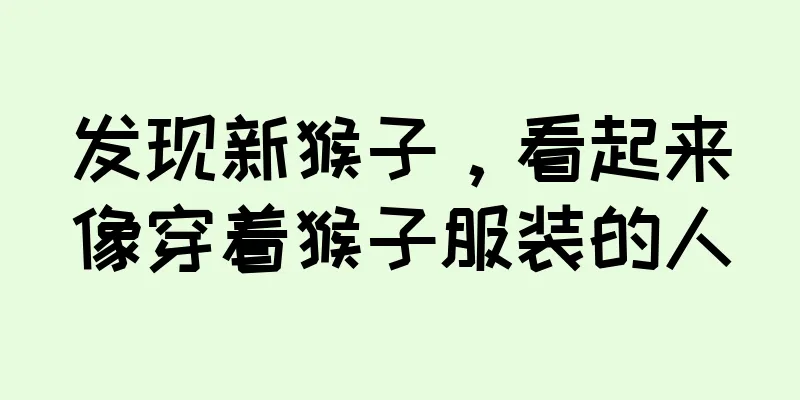 发现新猴子，看起来像穿着猴子服装的人