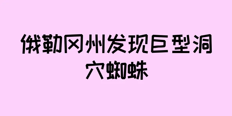 俄勒冈州发现巨型洞穴蜘蛛