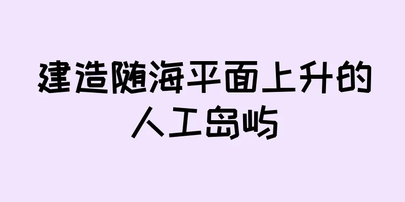 建造随海平面上升的人工岛屿