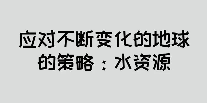 应对不断变化的地球的策略：水资源