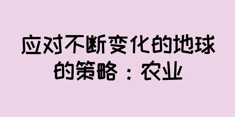应对不断变化的地球的策略：农业