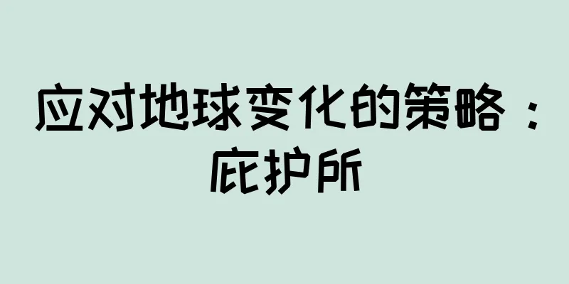 应对地球变化的策略：庇护所
