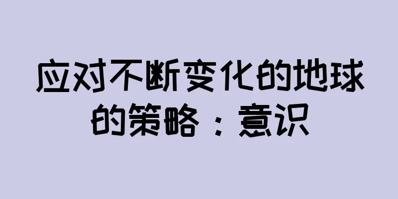 应对不断变化的地球的策略：意识