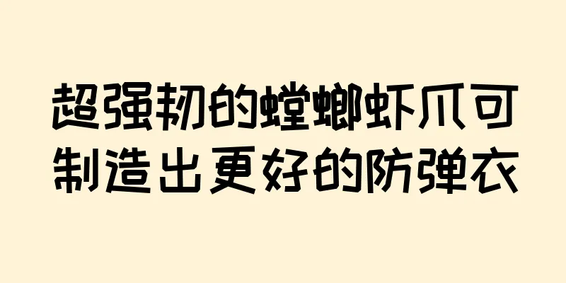 超强韧的螳螂虾爪可制造出更好的防弹衣