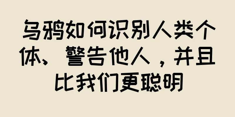 乌鸦如何识别人类个体、警告他人，并且比我们更聪明