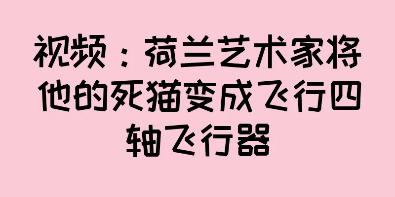 视频：荷兰艺术家将他的死猫变成飞行四轴飞行器