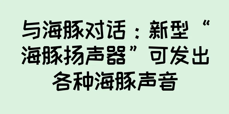 与海豚对话：新型“海豚扬声器”可发出各种海豚声音