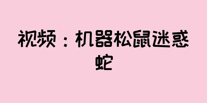 视频：机器松鼠迷惑蛇