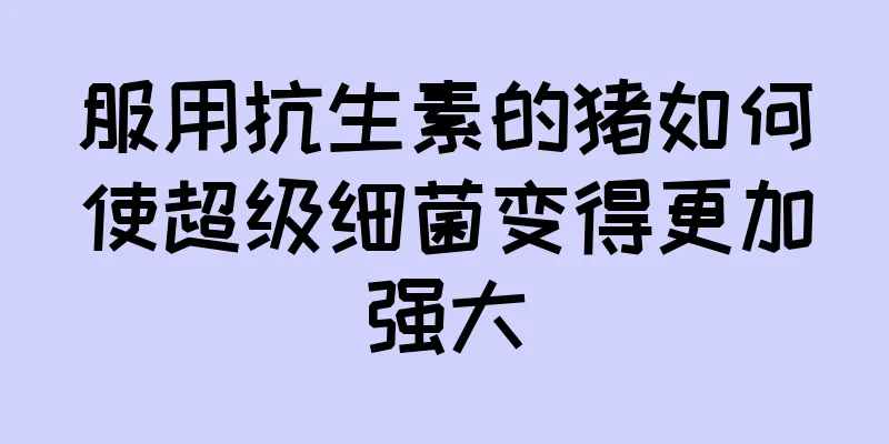 服用抗生素的猪如何使超级细菌变得更加强大