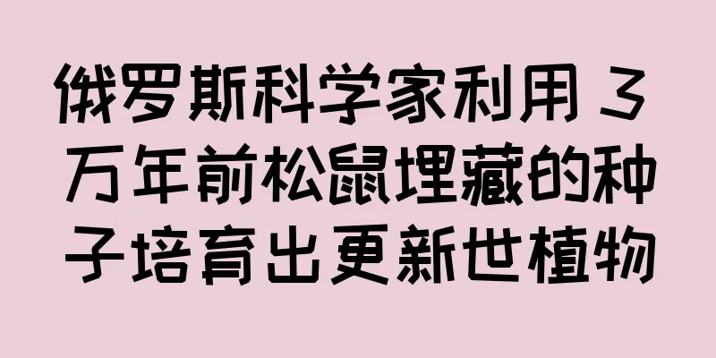 俄罗斯科学家利用 3 万年前松鼠埋藏的种子培育出更新世植物
