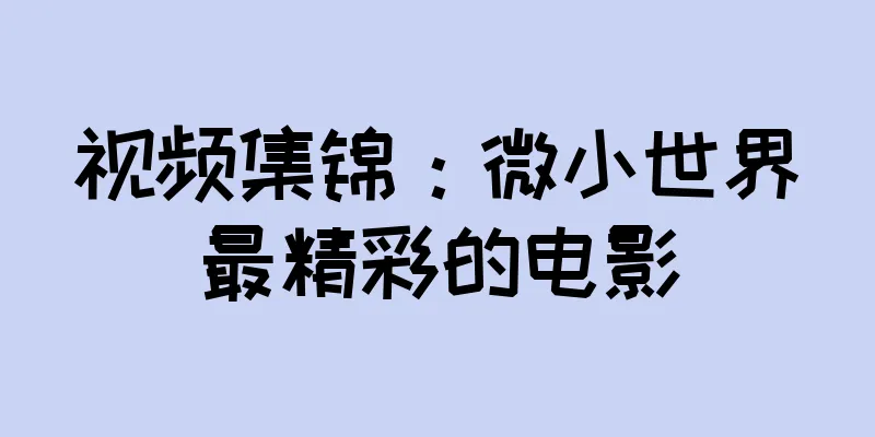 视频集锦：微小世界最精彩的电影