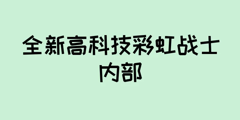 全新高科技彩虹战士内部