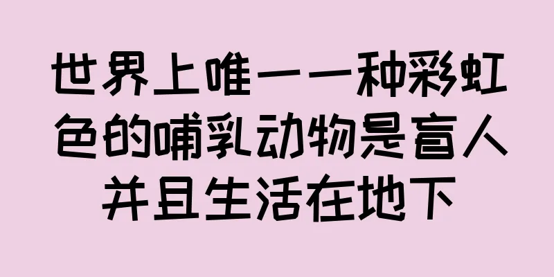 世界上唯一一种彩虹色的哺乳动物是盲人并且生活在地下