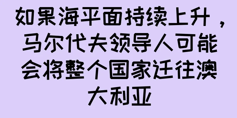 如果海平面持续上升，马尔代夫领导人可能会将整个国家迁往澳大利亚
