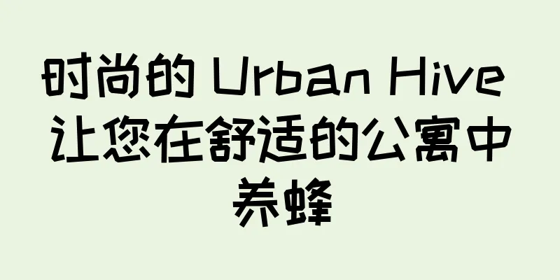 时尚的 Urban Hive 让您在舒适的公寓中养蜂